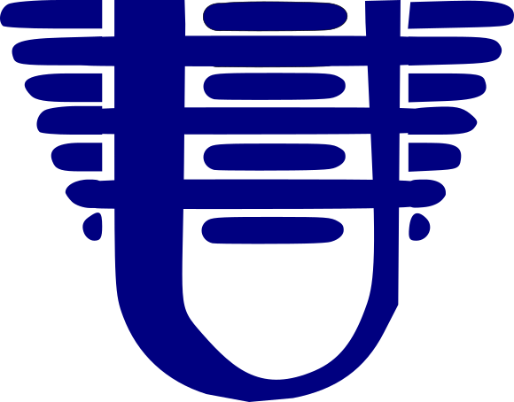 Ultrazvuk