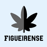 Figueirense FC