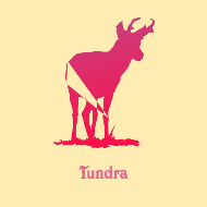 Tundra FC