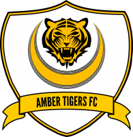 Amber Tigers