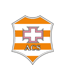 A.D. Fighters 