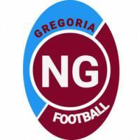 A.F. Novo Gregori 
