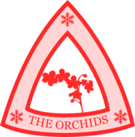 Holy Orchids