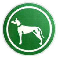 Smeraldi Calcio