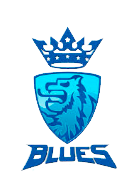 THE BLUES