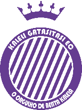 Kaleli Gatasitasi