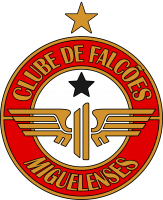 Falcões Miguelenses